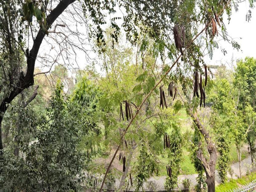 Haveli Hauz Khas Bed & Breakfast New Delhi Ruang foto