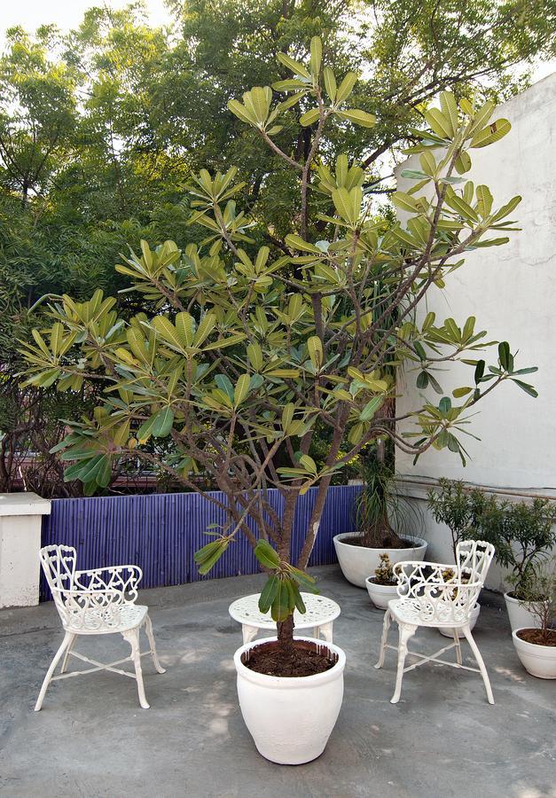 Haveli Hauz Khas Bed & Breakfast New Delhi Bagian luar foto